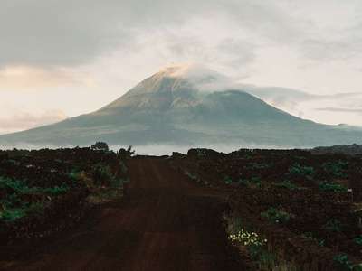 Island living, biodynamic wine and the thrill of a cold dip