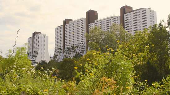 Design tours: The world's best public housing?